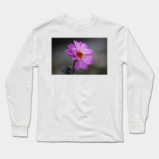 Purple Daisy Long Sleeve T-Shirt